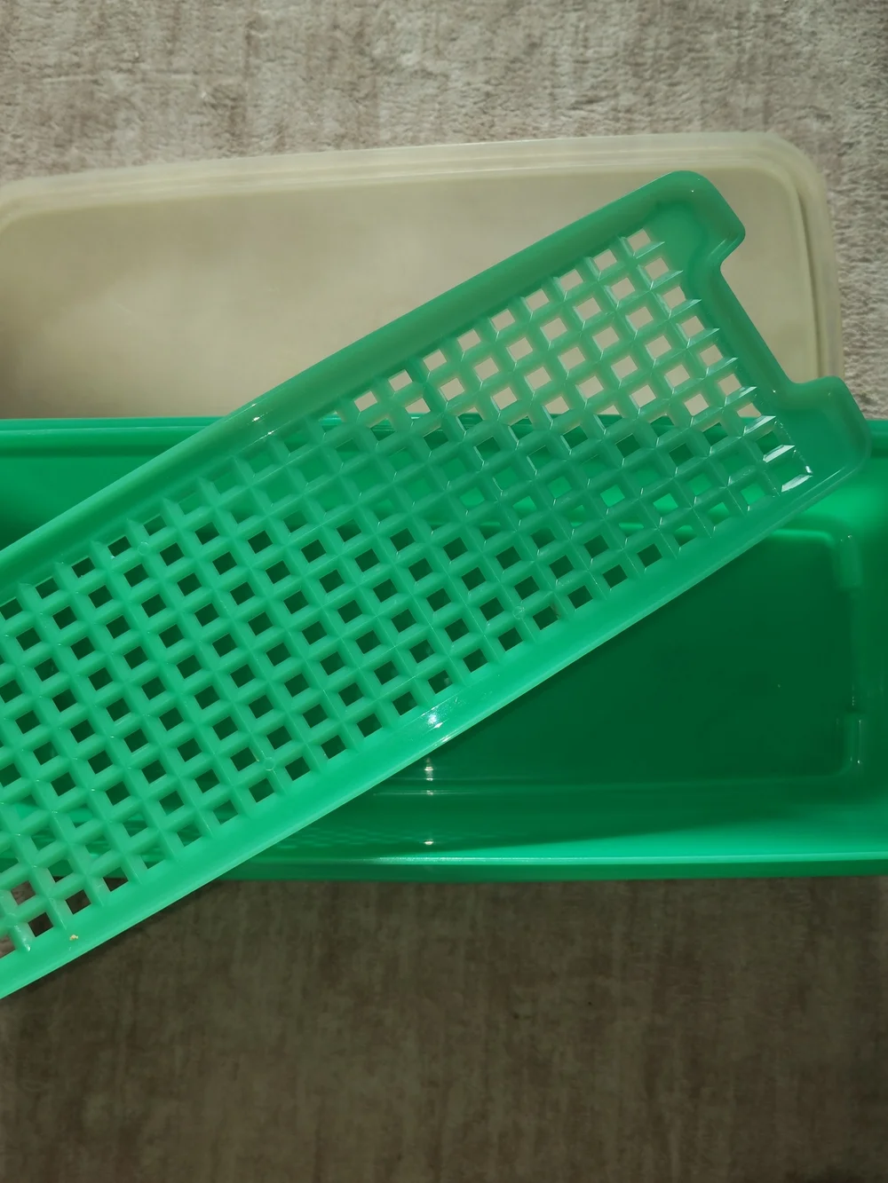 Tupperware Green Food Storage Lid